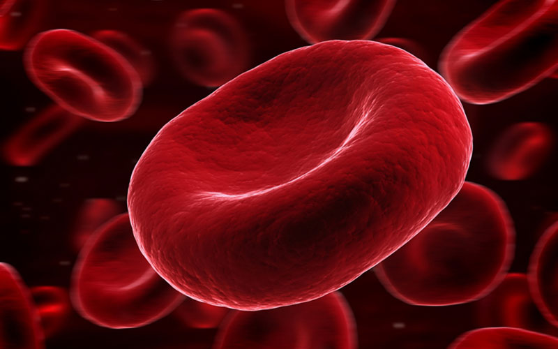 blood-cells